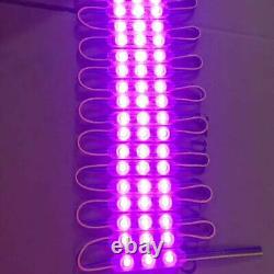 10-1000ft 12V Injection 5050 7 Colors 3 LED Module Light Shop Window Sign Lamp