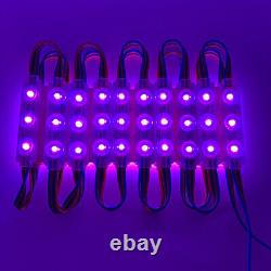 10-1000ft 12V Injection 5050 7 Colors 3 LED Module Light Shop Window Sign Lamp