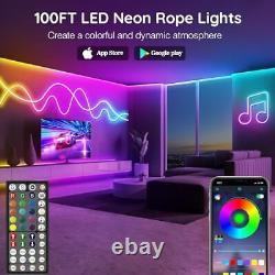 100Ft Led Neon Rope Lights, Control with 100FT Neon Rope Lights