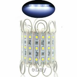 10500FT 5050 SMD 3 LED Bulb Module Lights Club Store Front Window Sign Lamp Kit