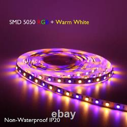 10M 20M 30M 50M 60M Waterproof 12V RGBW 5050 LED Strip Light Flexible Music Sync