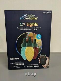 24 Count C9 LED Holiday Show Home APP Lights Multi-Function Color Changing LEDs