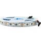 4 in 1 RGBW RGBWW LED Strip Lighting 5050 LED Strip 12mm 12V 24V LED Tape Light