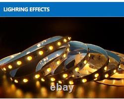 4 in 1 RGBW RGBWW LED Strip Lighting 5050 LED Strip 12mm 12V 24V LED Tape Light