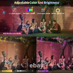 48FT LED Bulb String Lights Outdoor Compatible with Alexa/Google Assistant RGBCW