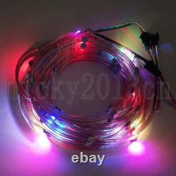 5V WS2812B IC 5050 RGB LED Pixel Module String Pre-Wired 5M 50LEDs Addressable