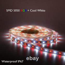 A Single Run of 20125FT RGBW WiFi Music Sync LED Strip Light Waterproof 12V PSU