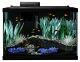 Aquarium Kit Fish Tank Color Change Led Light Filter Heater Plant 20 Gallon Gift