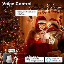 Christmas Halloween Multi-Color Changing Light App Controlled Twinkle Fairy