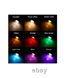 Color Changing LED String Lights with Remote Outdoor/Indoor 48 Ft. Edison Bulb