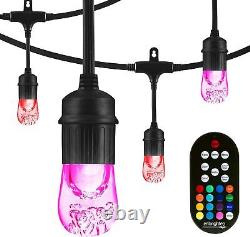 Enbrighten Classic Color Changing String Lights, 24ft 24ft