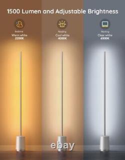 Floor Lamp, RGBIC Lyra Color Changing Corner Lamp, Modern LED Lamp withWi-Fi Ap LN