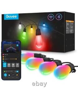 Govee Lynx Dream LED Bulb Smart RGBIC Outdoor String Lights H7021 96ft