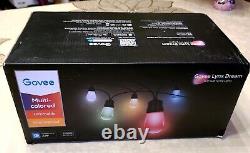 Govee Lynx Dream LED Bulb Smart RGBIC Outdoor String Lights H7021 96ft