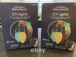 Holiday ShowHome Multicolor LED Lights