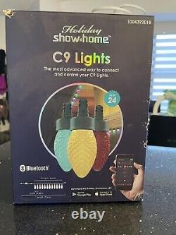 Holiday ShowHome Multicolor LED Lights