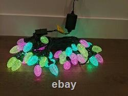 Holiday ShowHome Set of 48 C9 LED Christmas Multicolor Bluetooth Lights