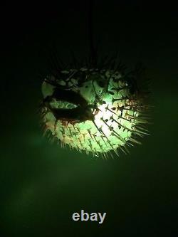 NEW 17! Puffer Fish Lamp withcolor changing LED Light Tiki bar Smokin Tikis fx