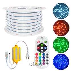 Neon LED Light Glow EL Wire String Strip Rope Tube Decor Car Party + Controller