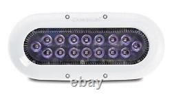 Oceanled X16 X-Series Color Changing LED