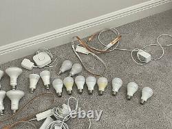 Philips Hue Lot (A19, BR30, Strips, Motion Sensor, Switches)