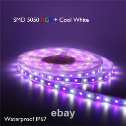 RGBW 10ft 20ft 30ft 50ft 100ft 12V 5050 LED Strip Light Flexible with Music Sensor