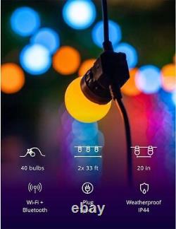 Twinkly Lights Multicolor Festoon App-Controlled LED Bulb Lights String